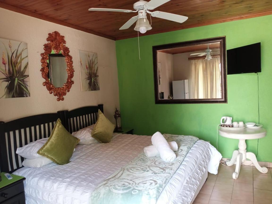 Aloe Tree Guest House 크루거스도프 객실 사진