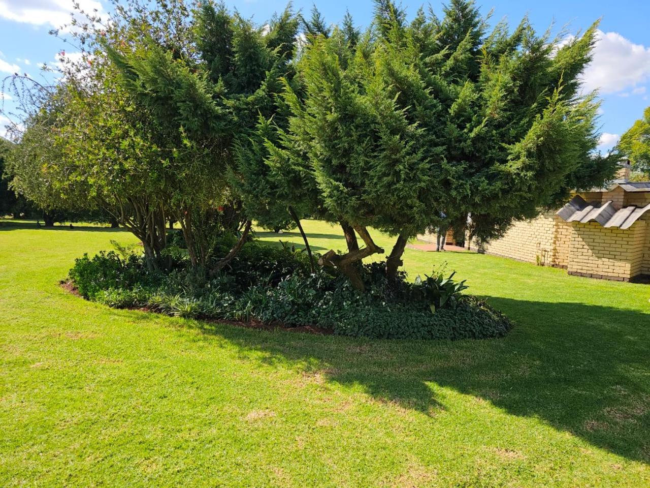 Aloe Tree Guest House 크루거스도프 외부 사진